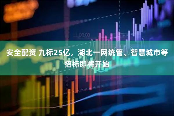 安全配资 九标25亿，湖北一网统管、智慧城市等招标即将开始