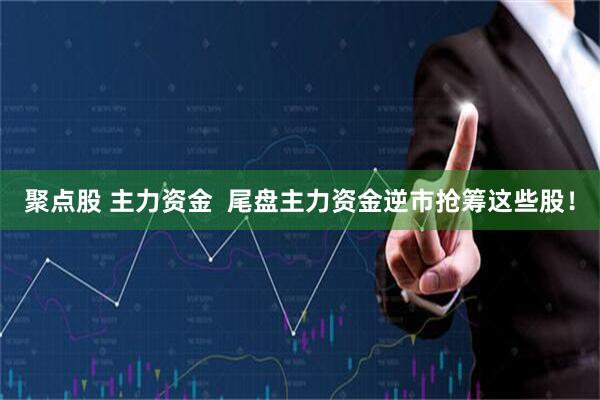 聚点股 主力资金  尾盘主力资金逆市抢筹这些股！